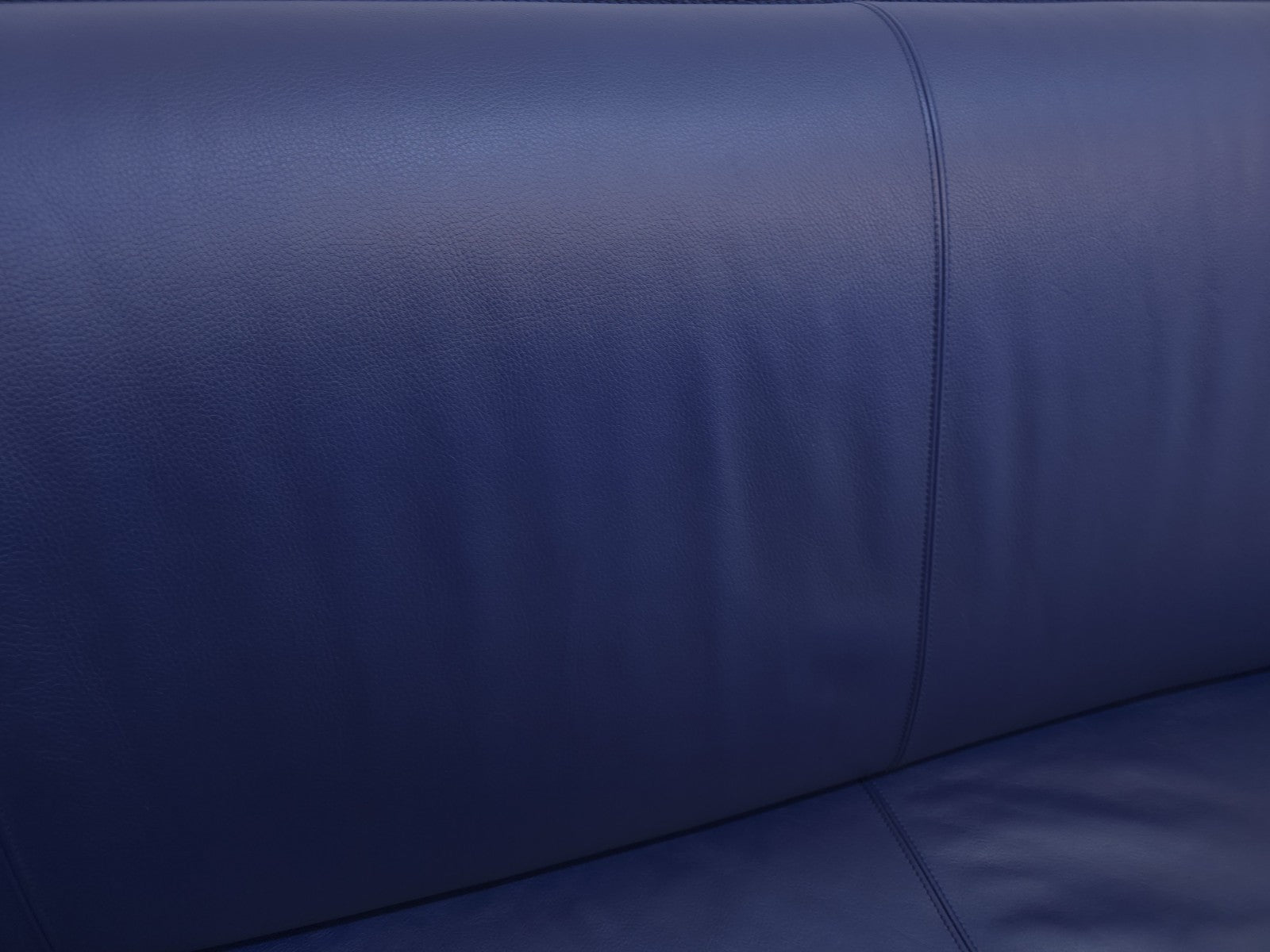 Leolux Tango Blau Ledersofa Couch Funktion Zweisitzer-Leolux-JSFurniture