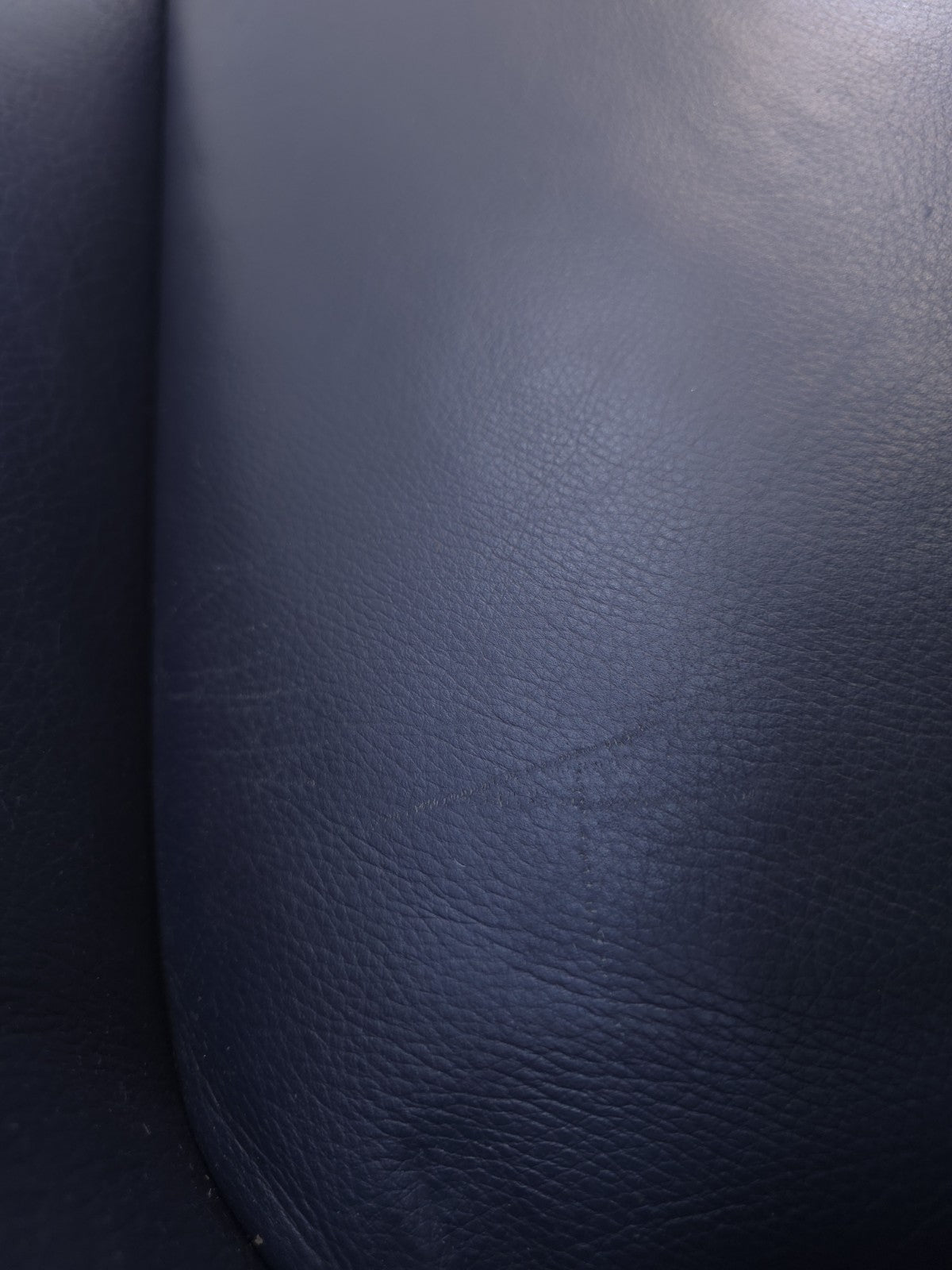 Cassina Dodo Sessel Leder Blau Relaxsessel-Cassina-JSFurniture