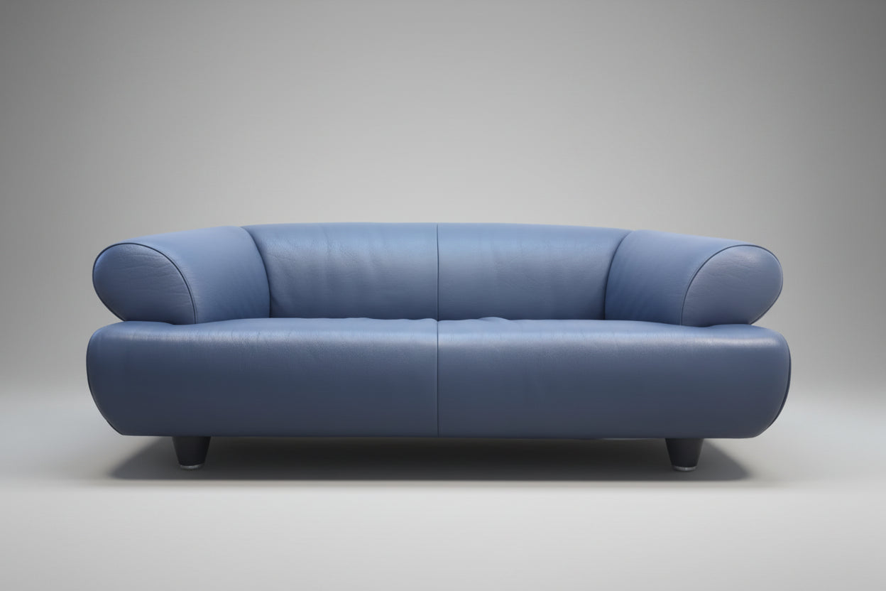 De Sede DS-91 Leder Sofa Blaugrau 2-Sitzer Vintage Designer Sofa-De Sede-JSFurniture