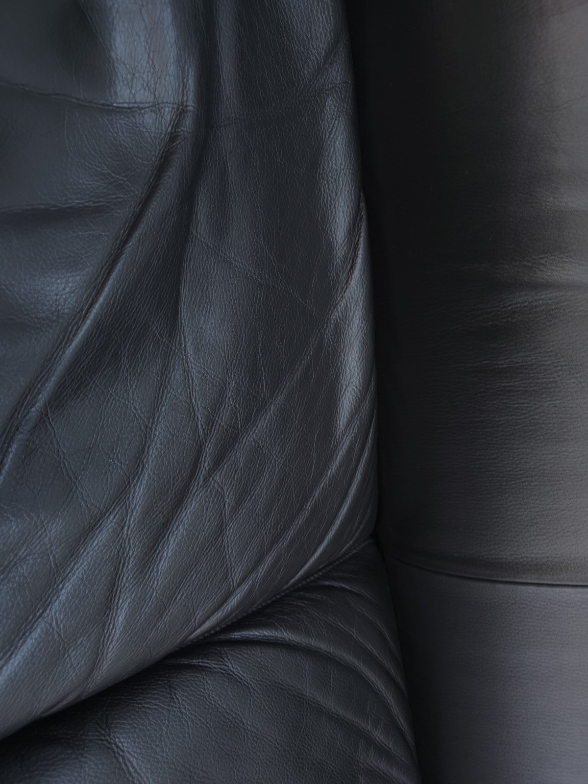 De Sede ds 2011 Designersofa Ledersofa Couch Desede Zweisitzer Schwarz-De Sede-JSFurniture
