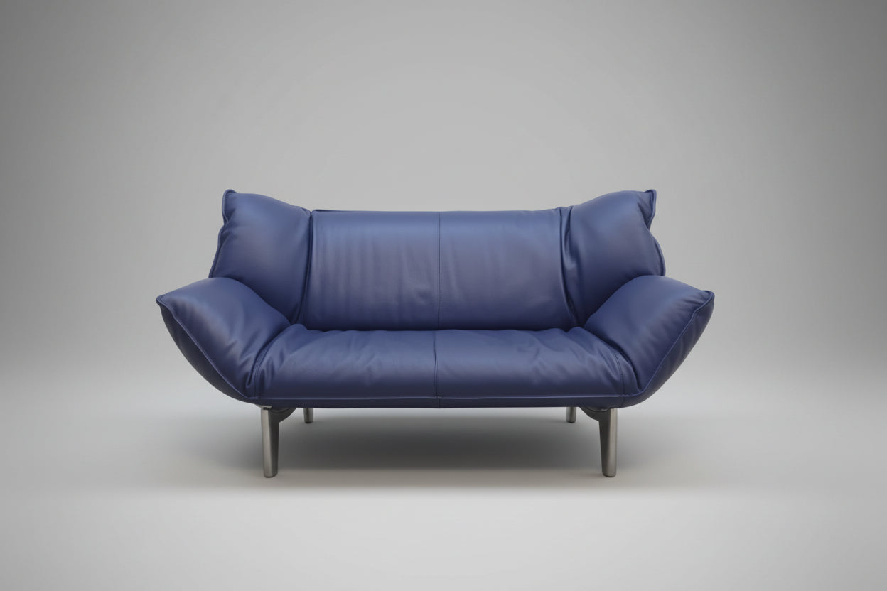 Leolux Tango Blau Ledersofa Couch Funktion Zweisitzer-Leolux-JSFurniture