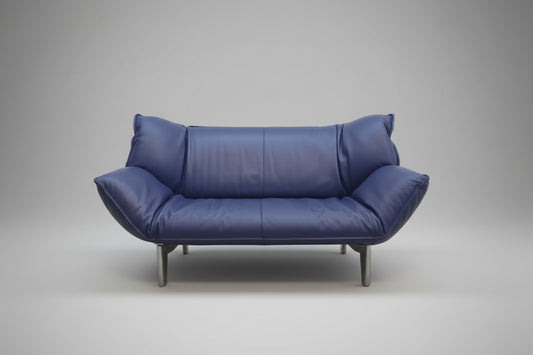 Leolux Tango Blau Ledersofa Couch Funktion Zweisitzer-Leolux-JSFurniture